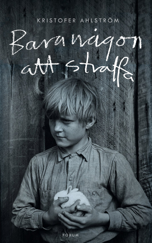 Bara någon att straffa – E-bok
