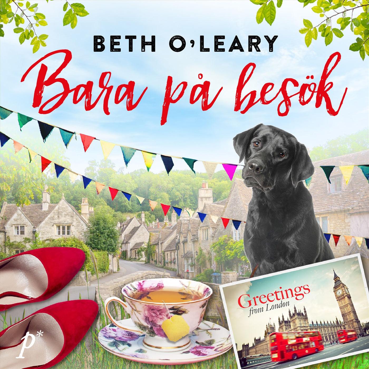 Bara på besök – Ljudbok