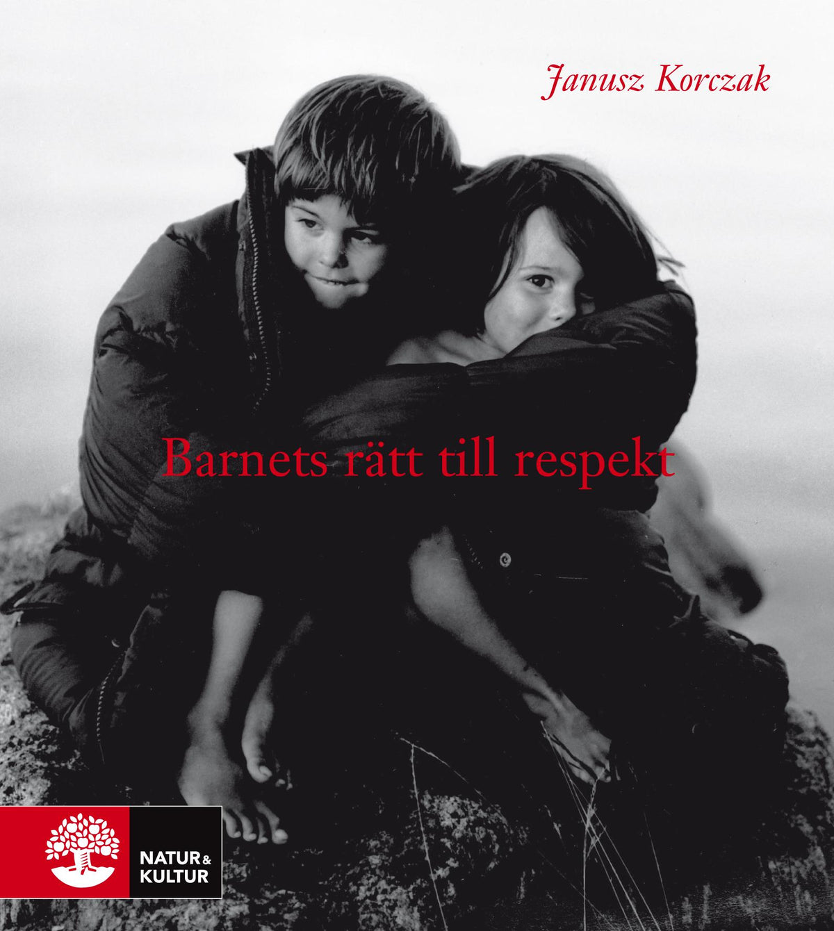 Barnets rätt till respekt – E-bok