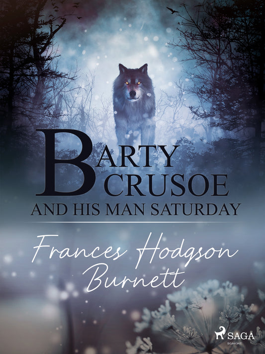 Barty Crusoe and His Man Saturday – E-bok