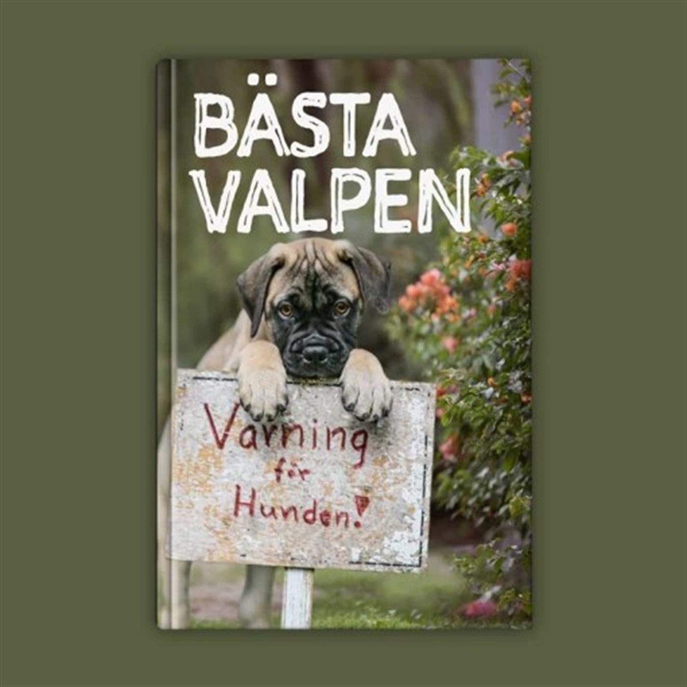 Bästa Valpen – Ljudbok