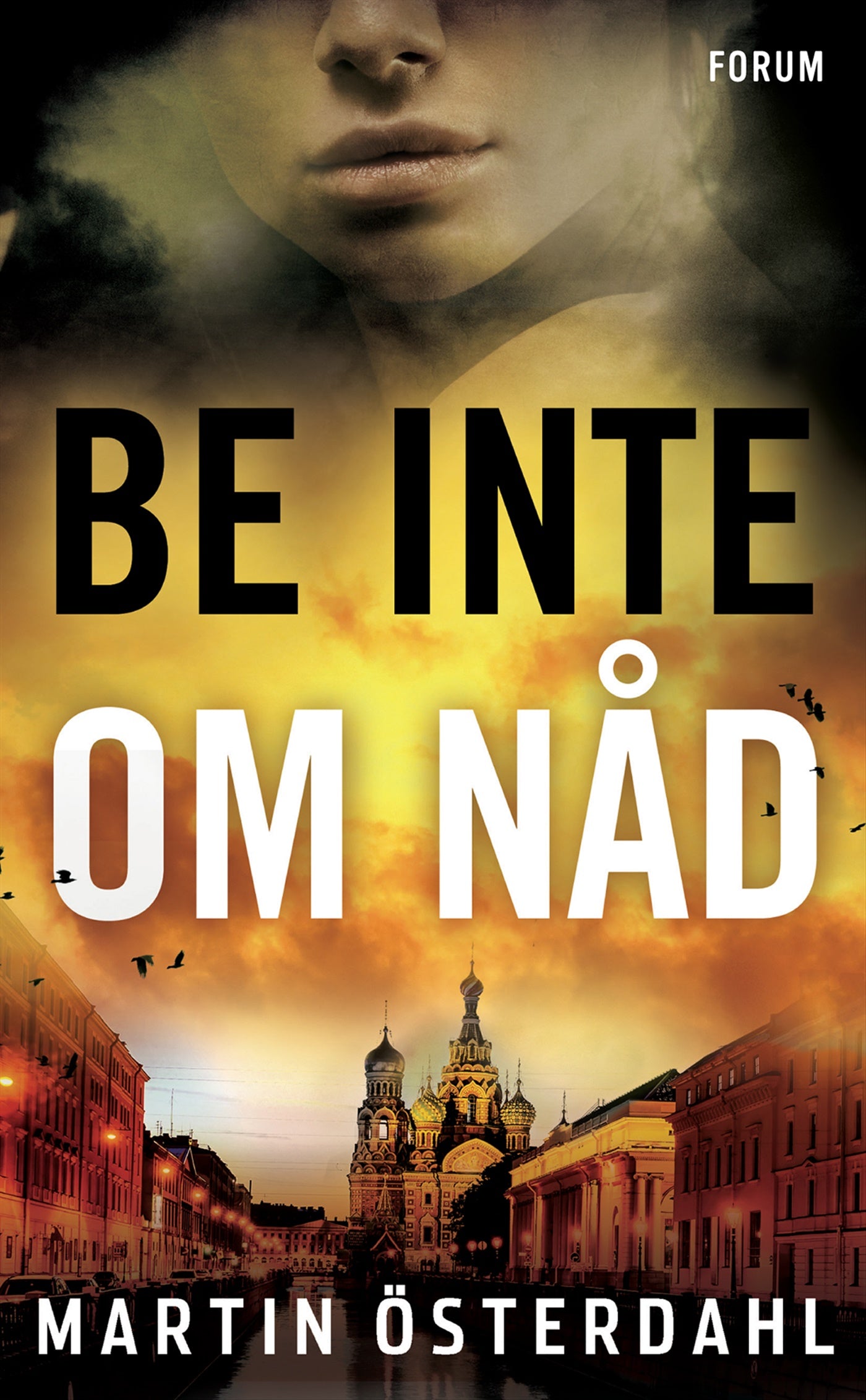 Be inte om nåd – E-bok