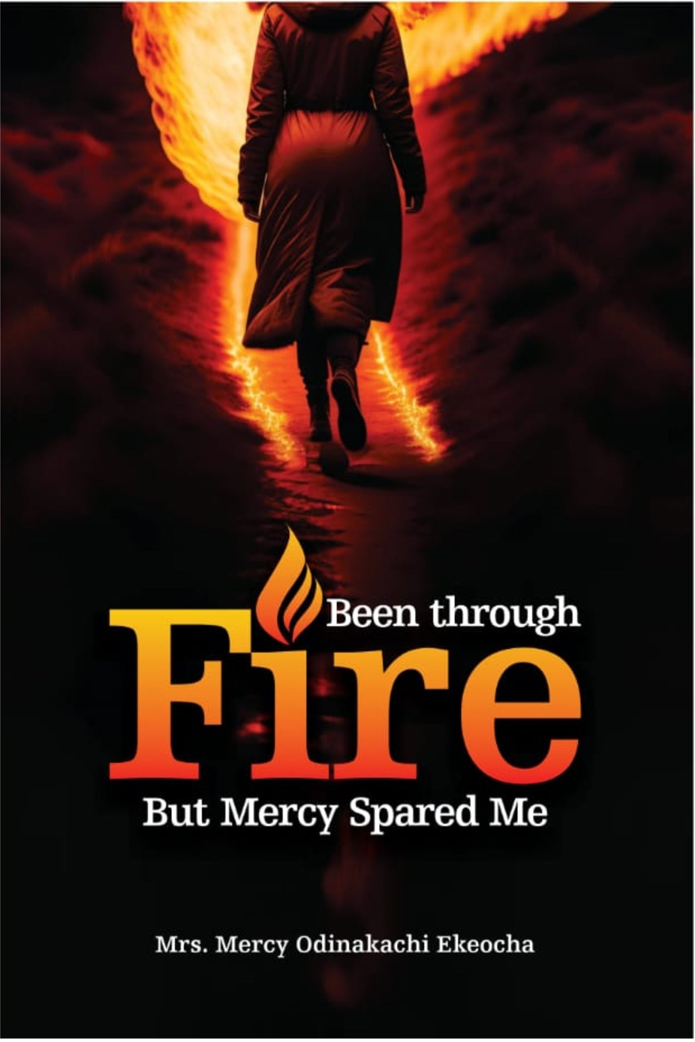 Been Through Fire But Mercy Spared Me – E-bok