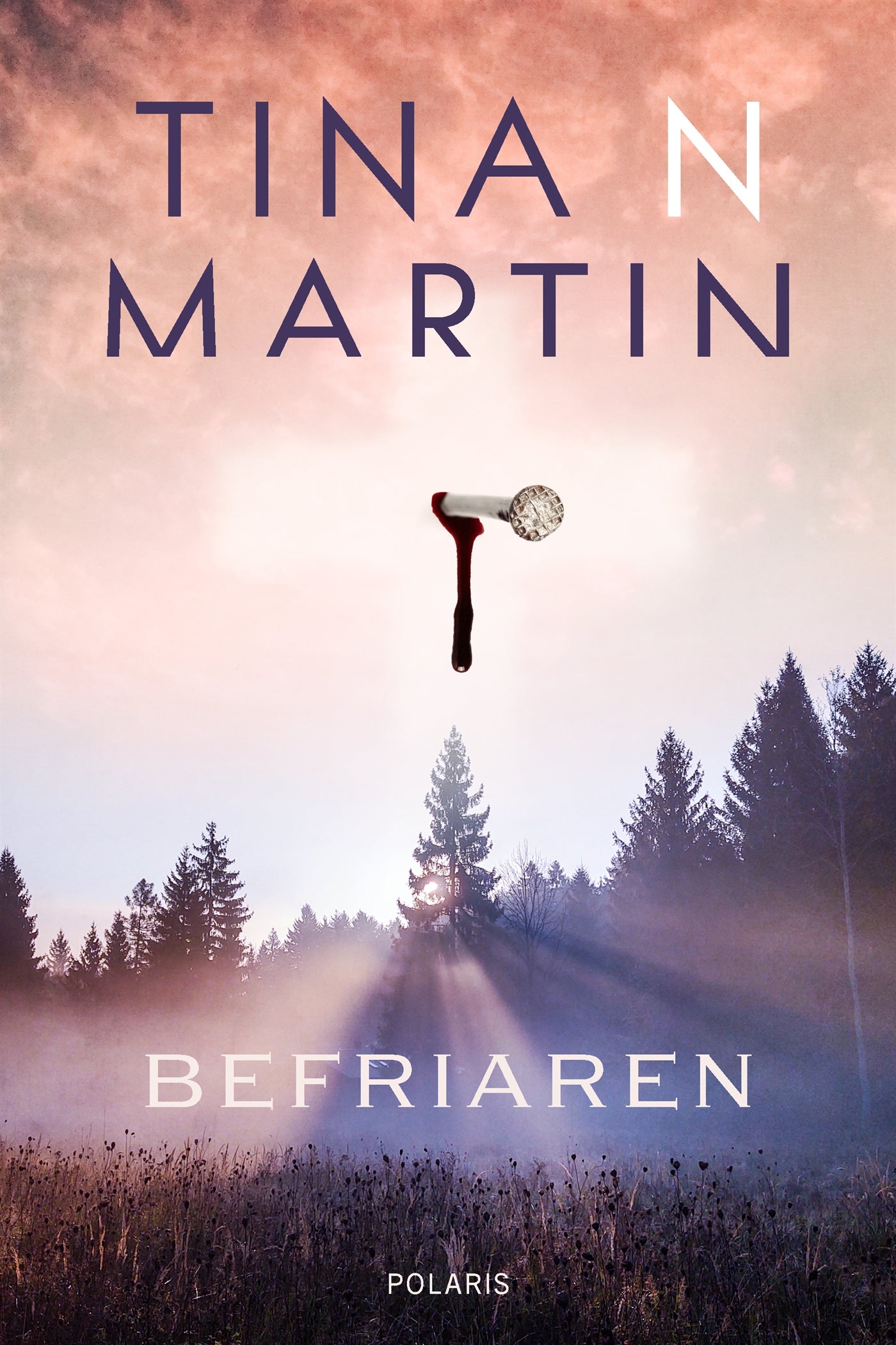 Befriaren – E-bok