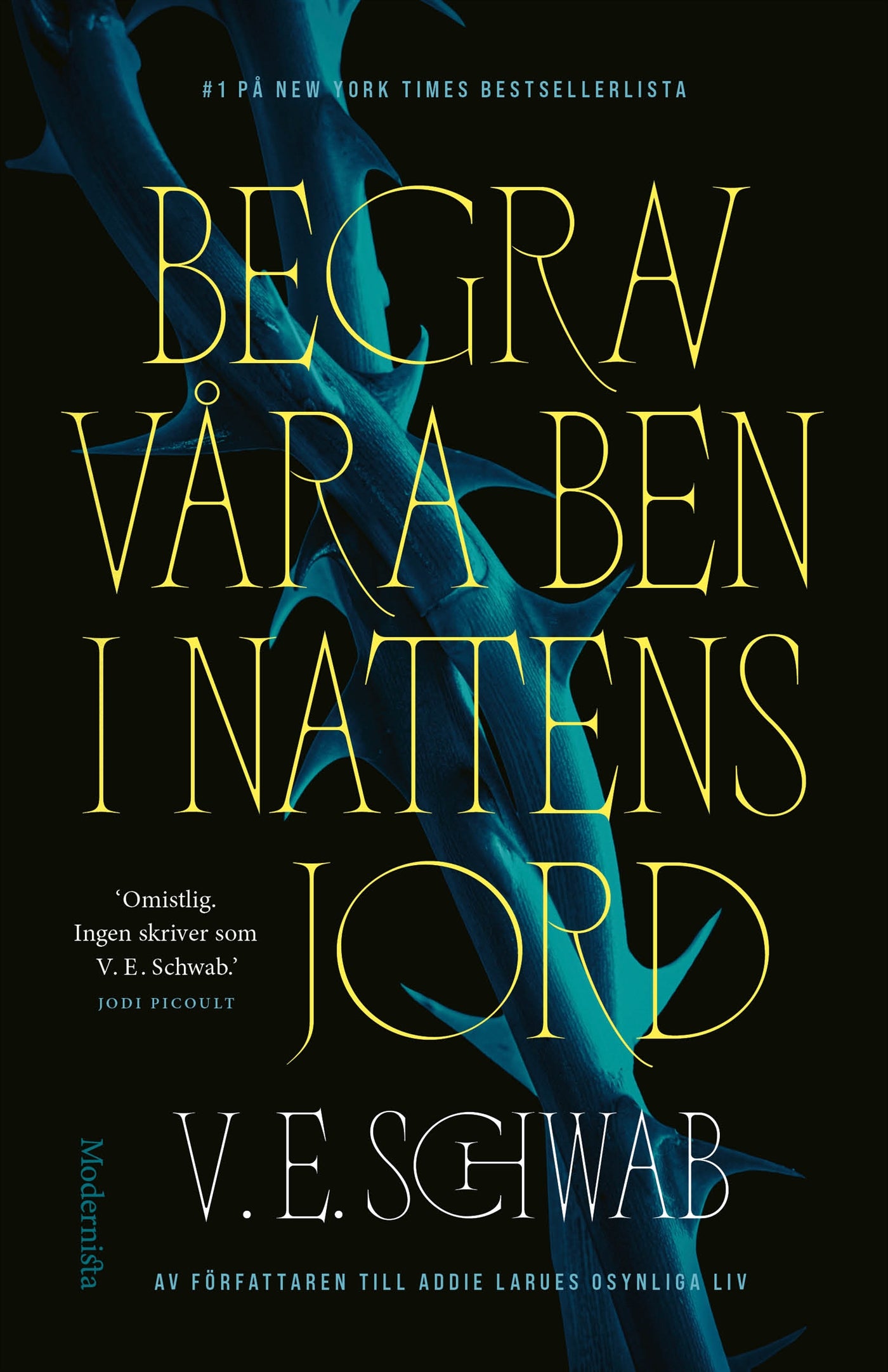 Begrav våra ben i nattens jord – E-bok