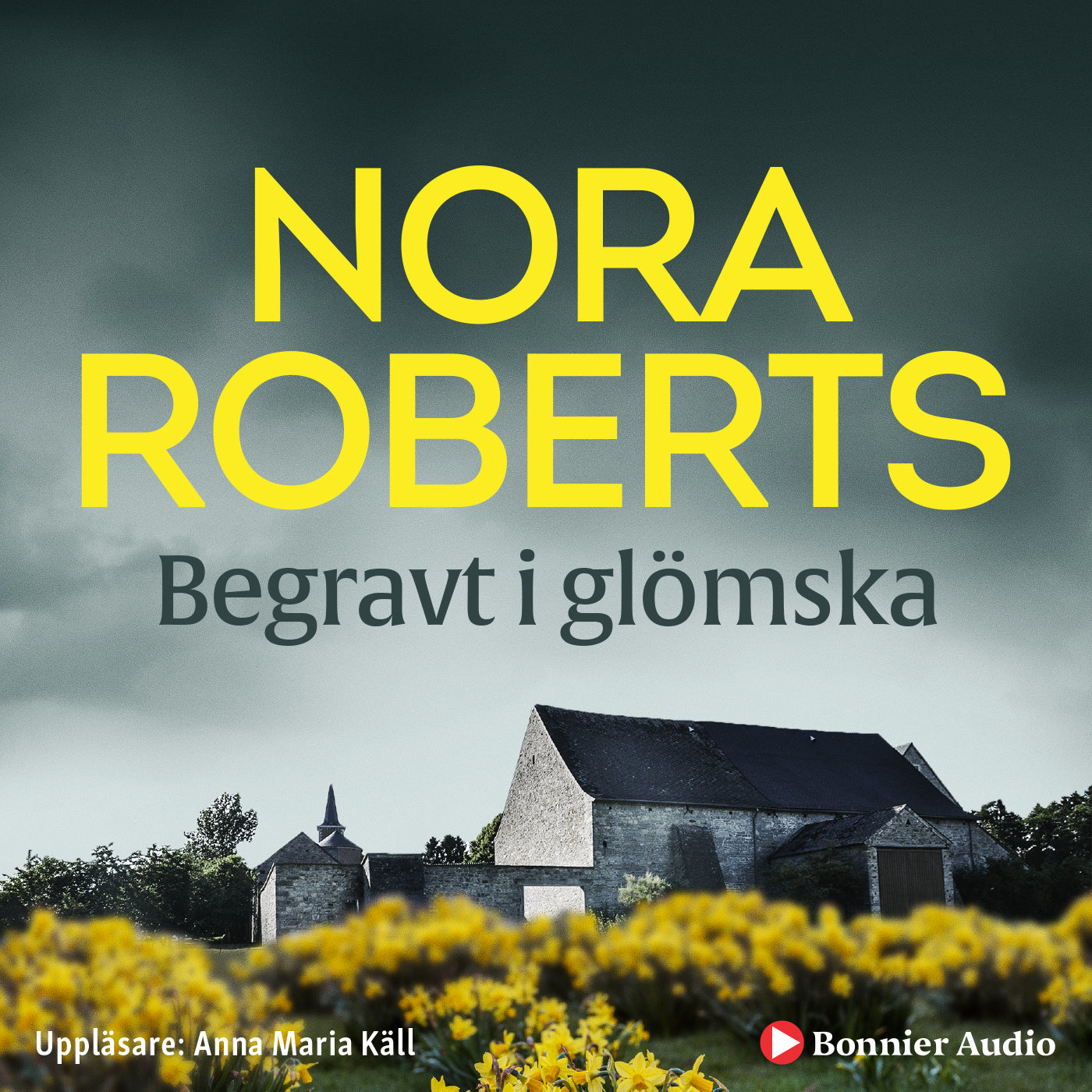 Begravt i glömska – Ljudbok