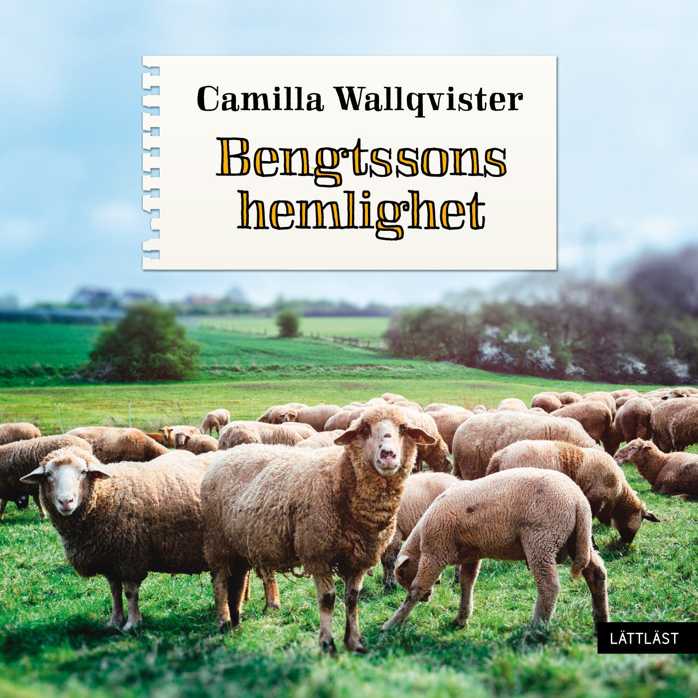 Bengtssons hemlighet (lättläst) – Ljudbok