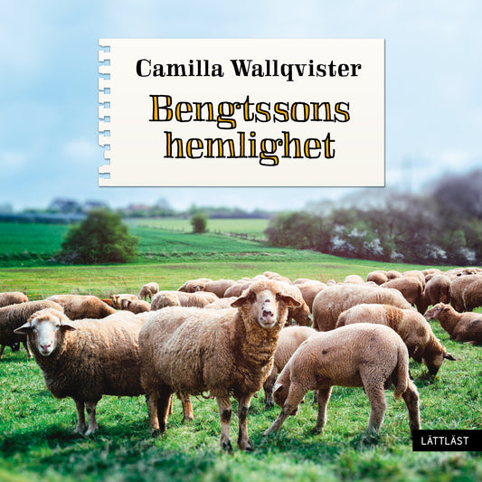 Bengtssons hemlighet (lättläst) – Ljudbok