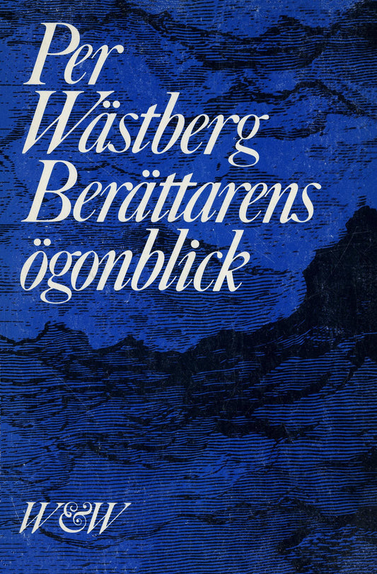 Berättarens ögonblick – E-bok