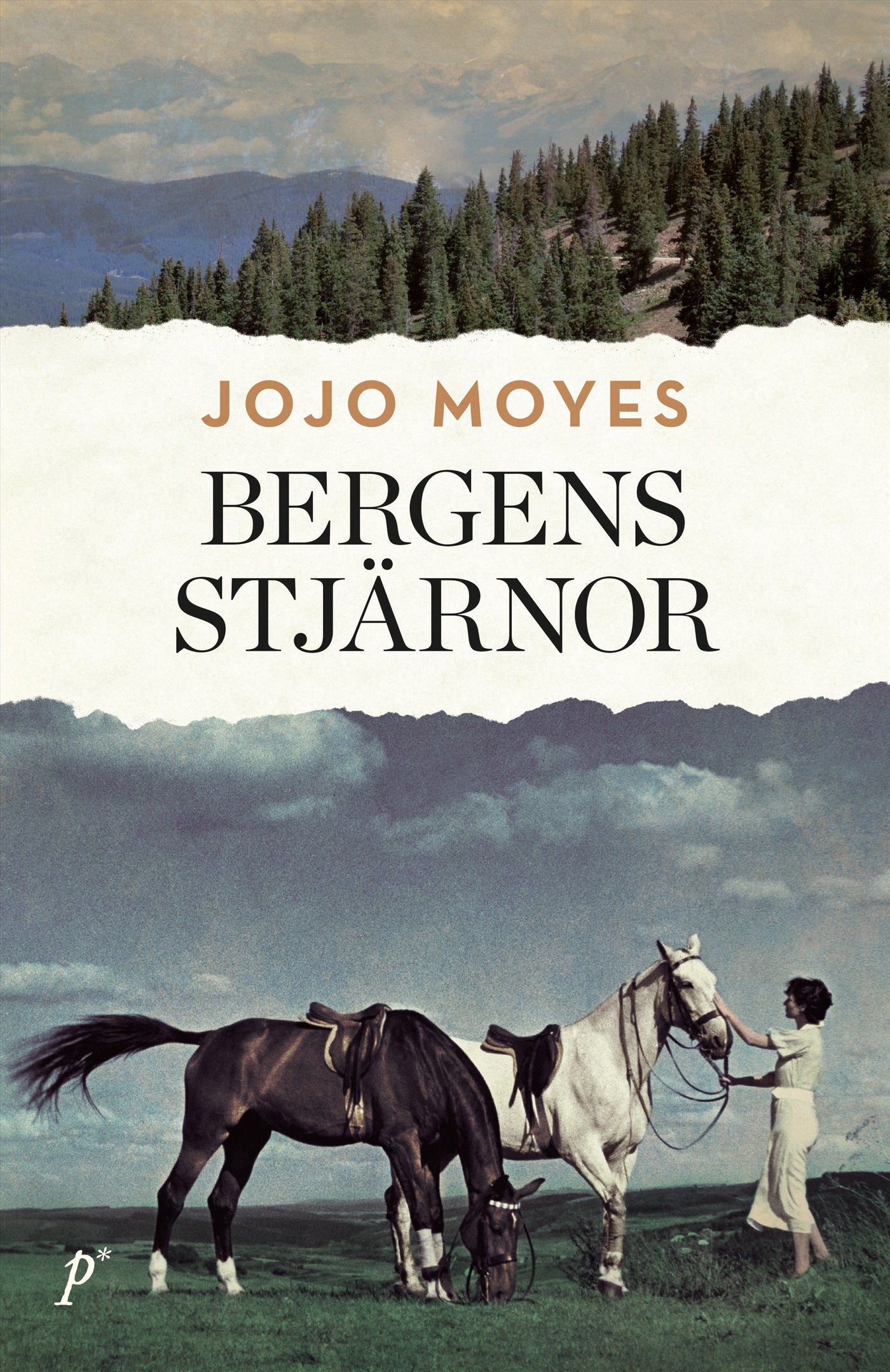 Bergens stjärnor – E-bok