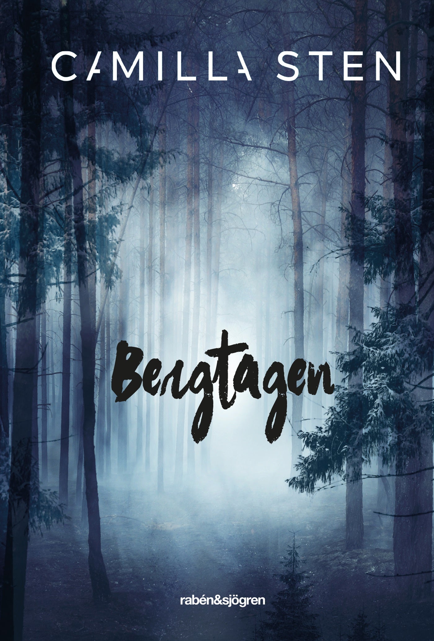 Bergtagen – E-bok