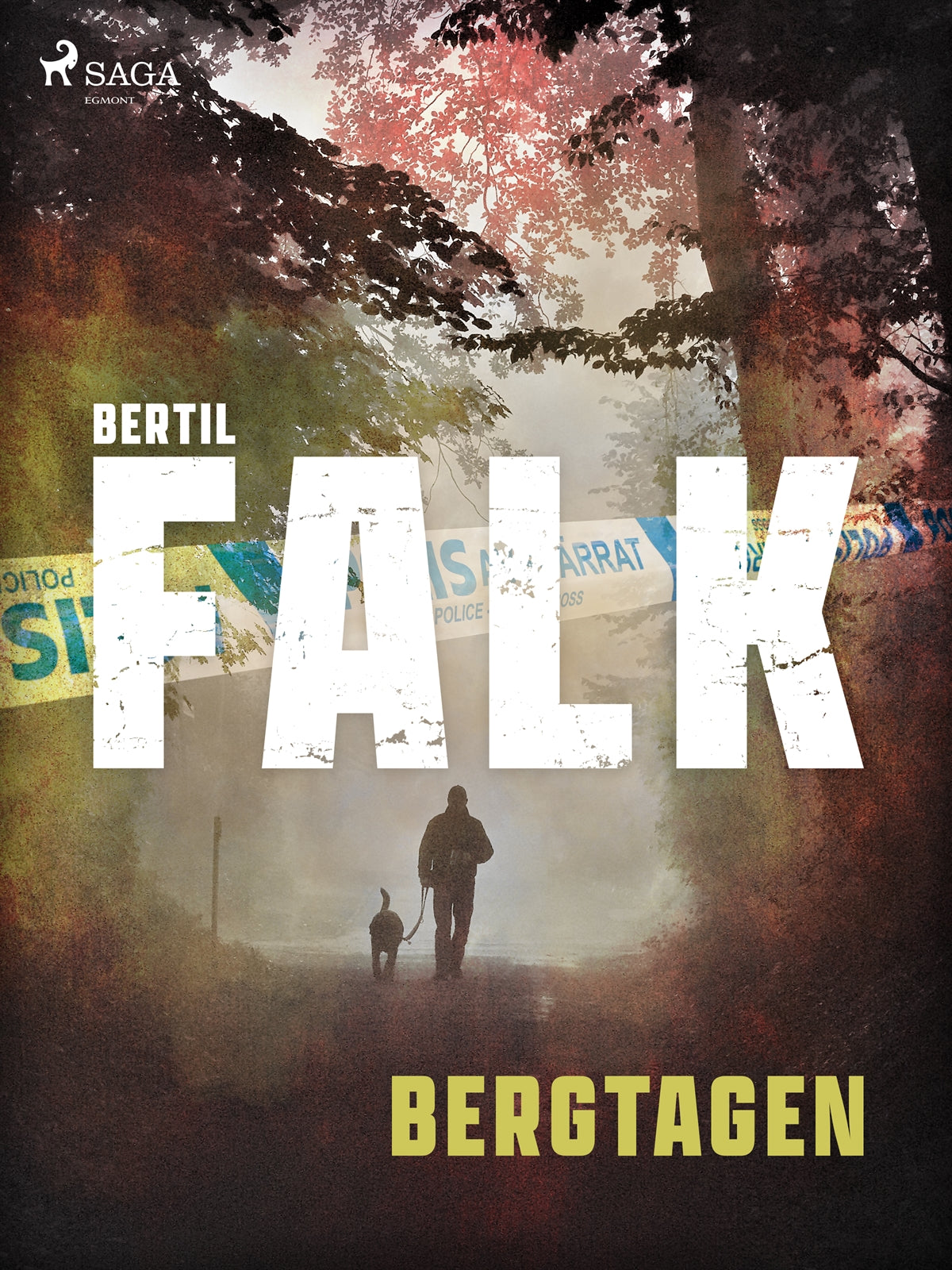 Bergtagen – E-bok