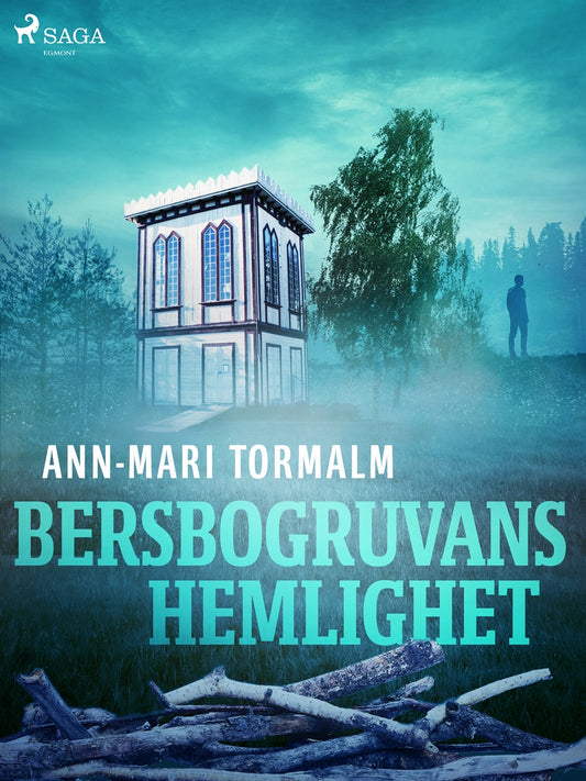 Bersbogruvans hemlighet – E-bok