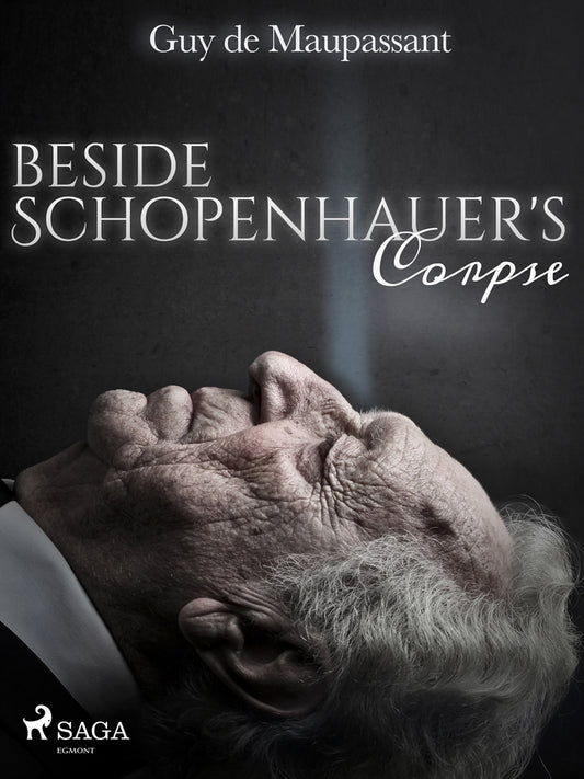 Beside Schopenhauer's Corpse – E-bok