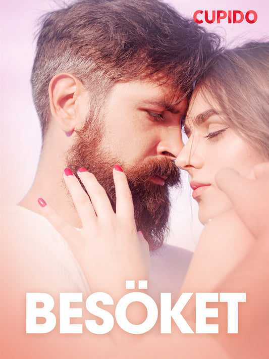 Besöket – erotisk novell – E-bok