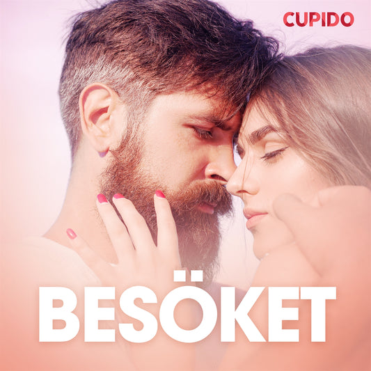 Besöket – erotisk novell – Ljudbok