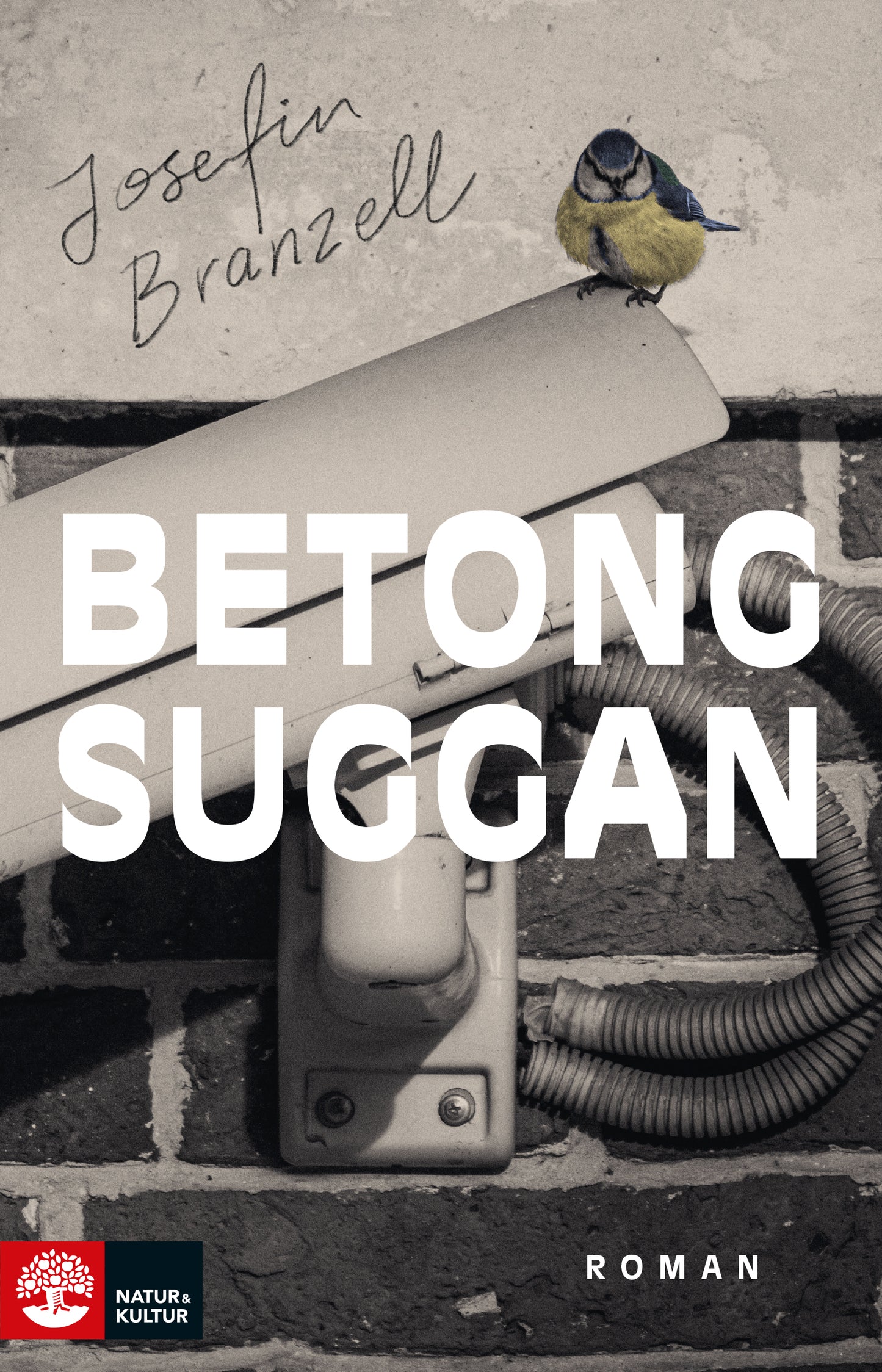 Betongsuggan – E-bok