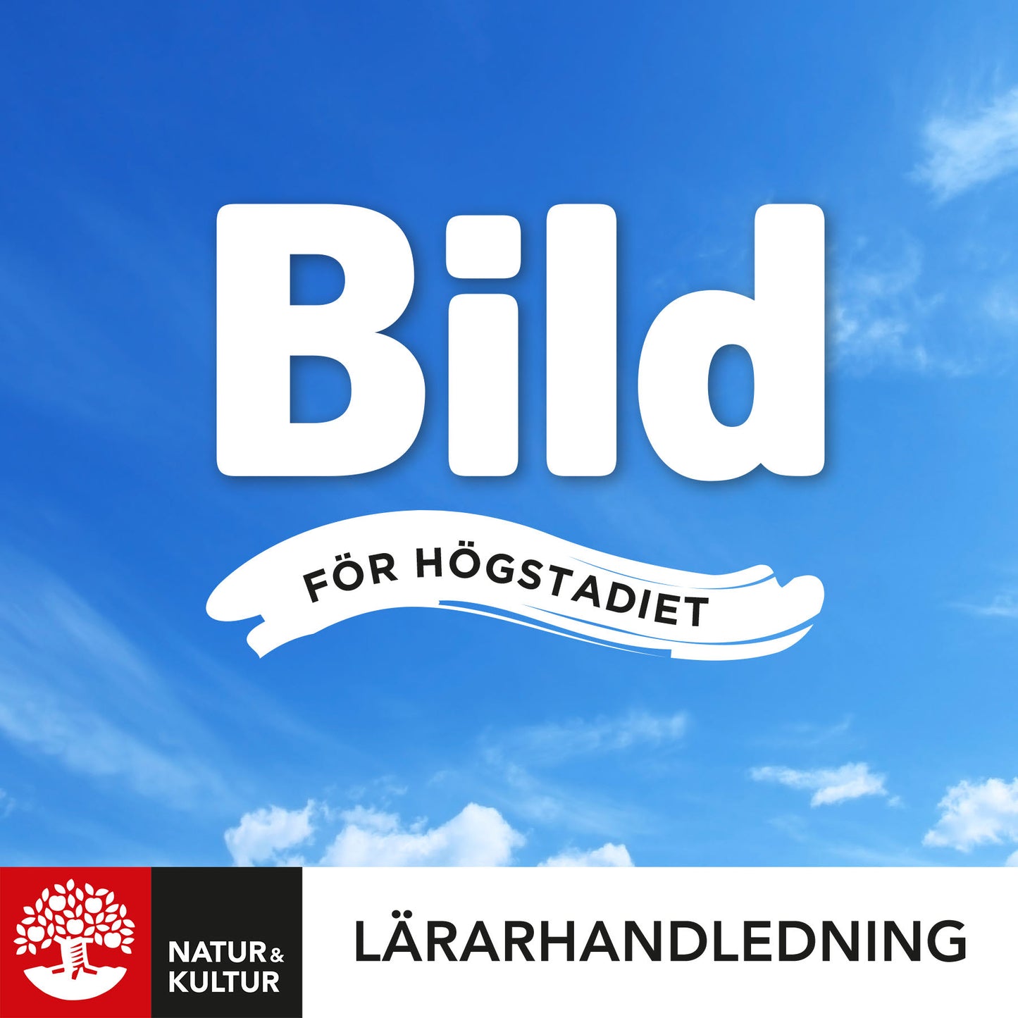 Bild för högstadiet Lärarhandledning Digital