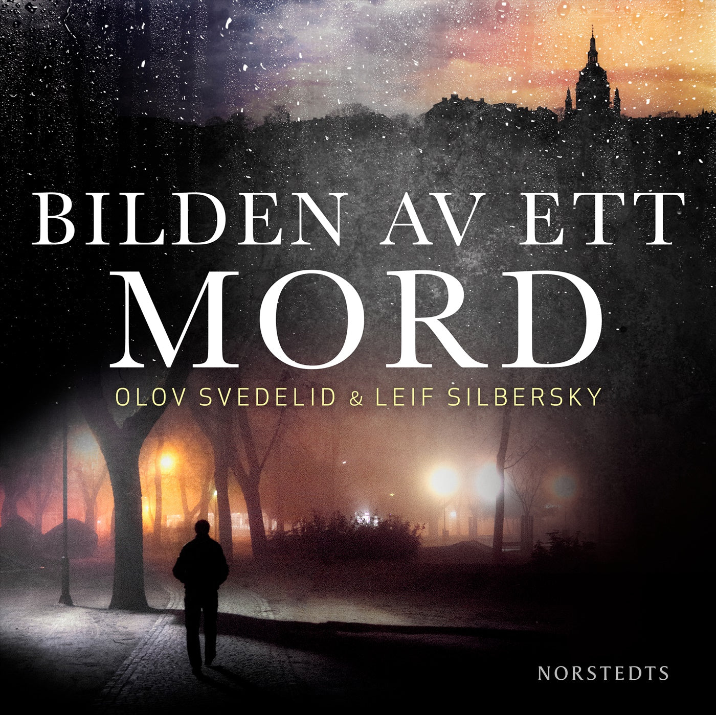 Bilden av ett mord – Ljudbok