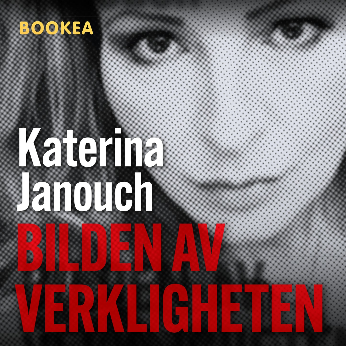 Bilden av verkligheten – Ljudbok