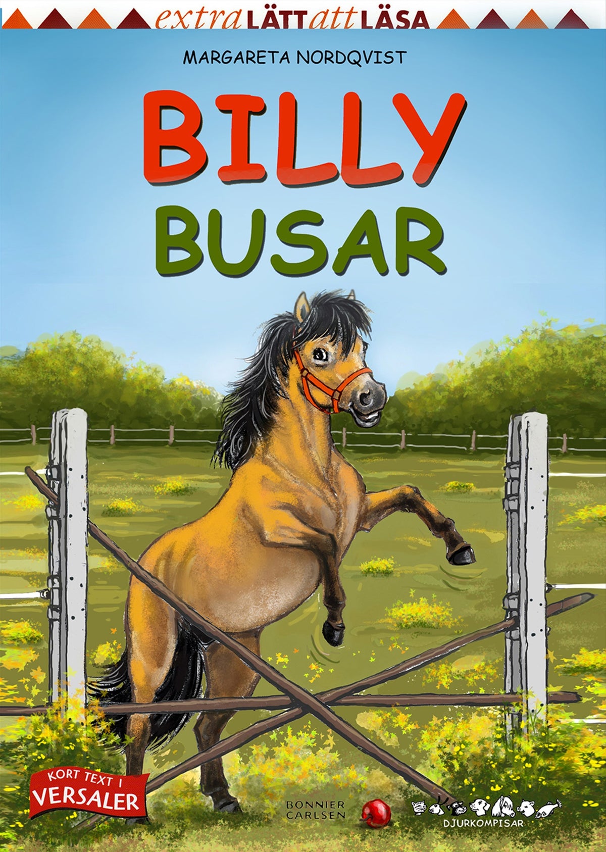 Billy busar – E-bok
