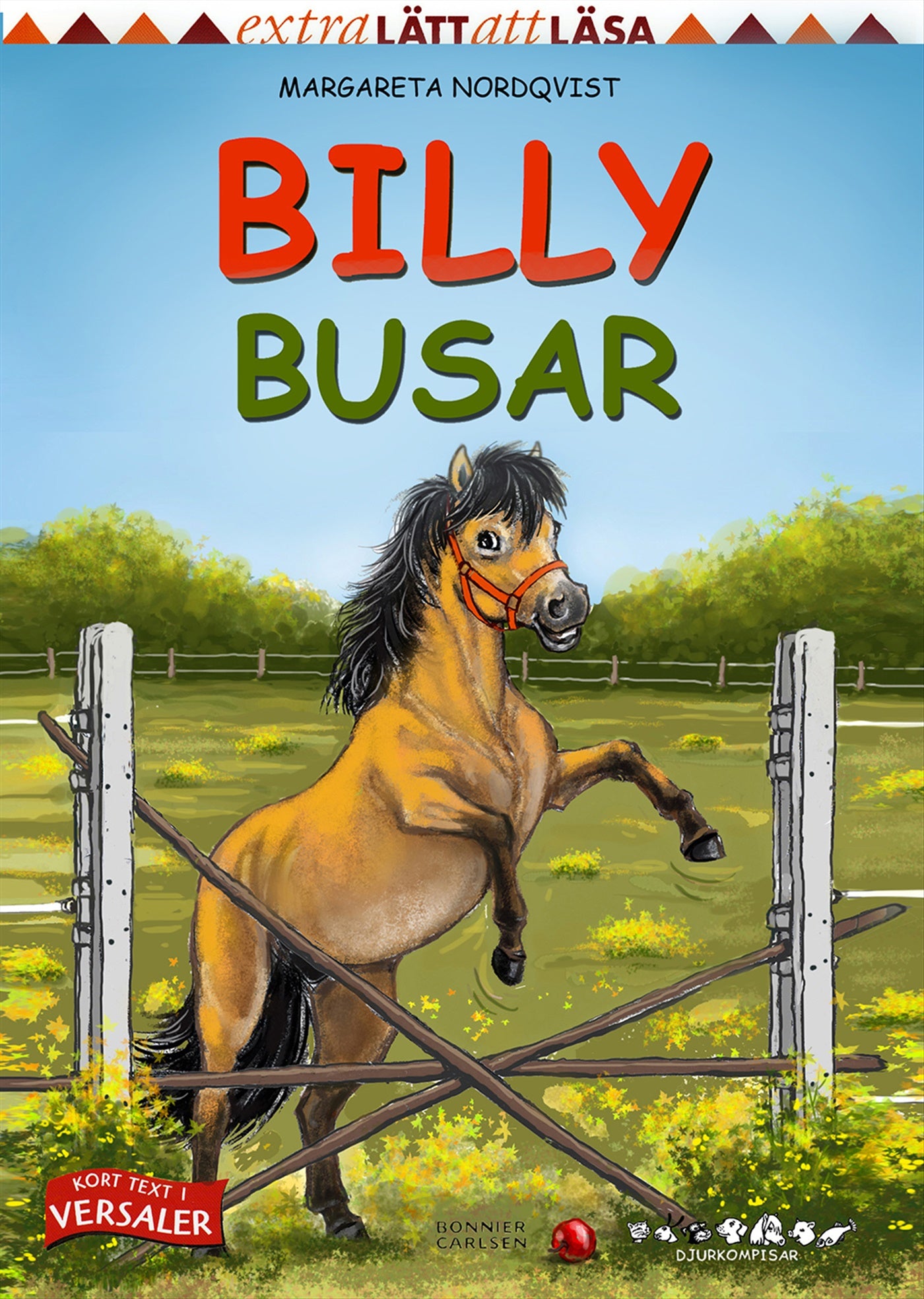 Billy busar – E-bok