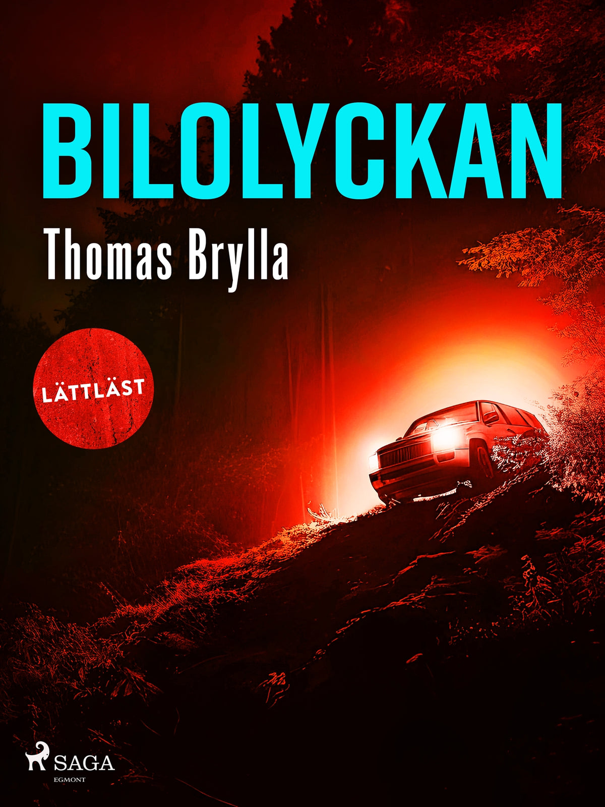 Bilolyckan – E-bok