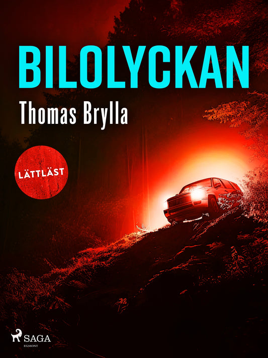 Bilolyckan – E-bok