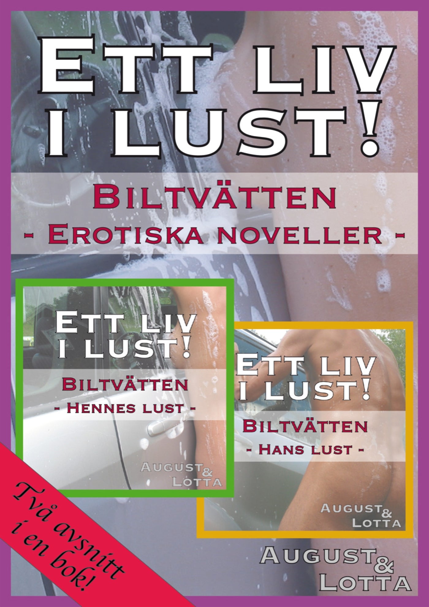 Biltvätten – erotiska noveller – E-bok