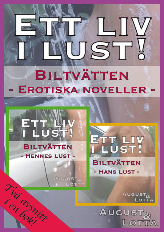 Biltvätten – erotiska noveller – E-bok