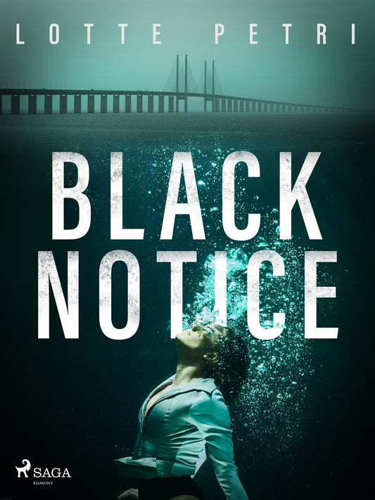 Black Notice – E-bok