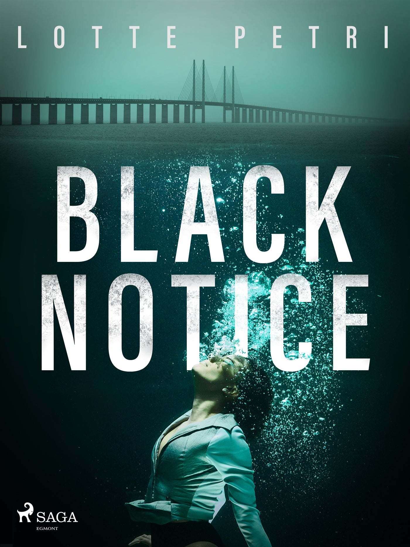 Black Notice – E-bok