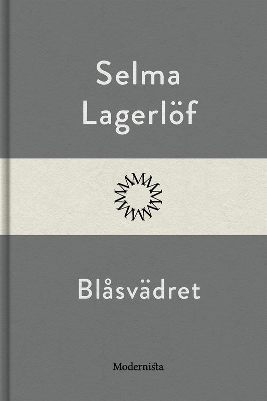 Blåsvädret – E-bok