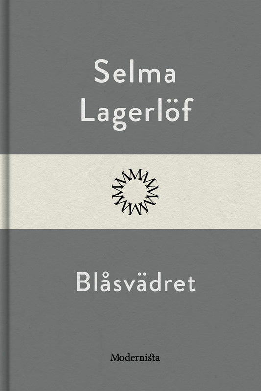 Blåsvädret – E-bok