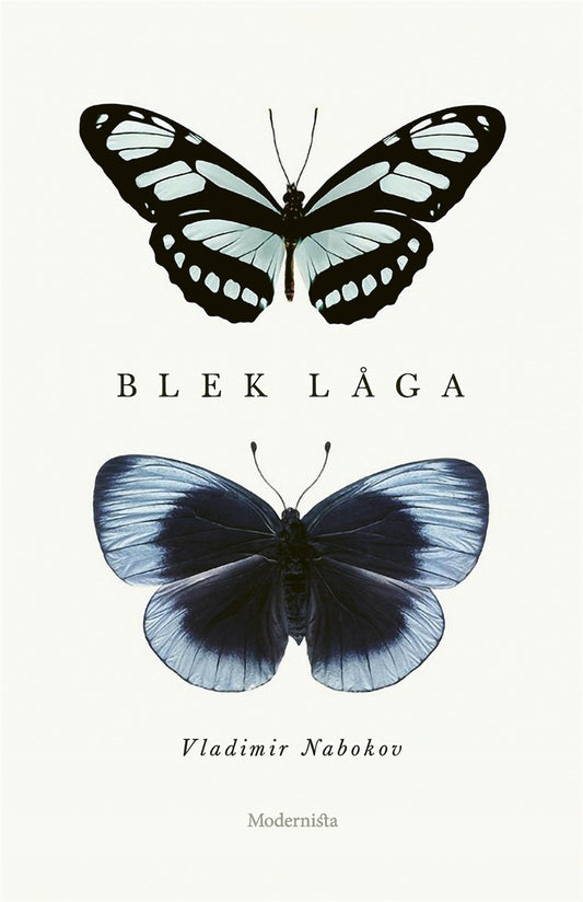 Blek låga – E-bok