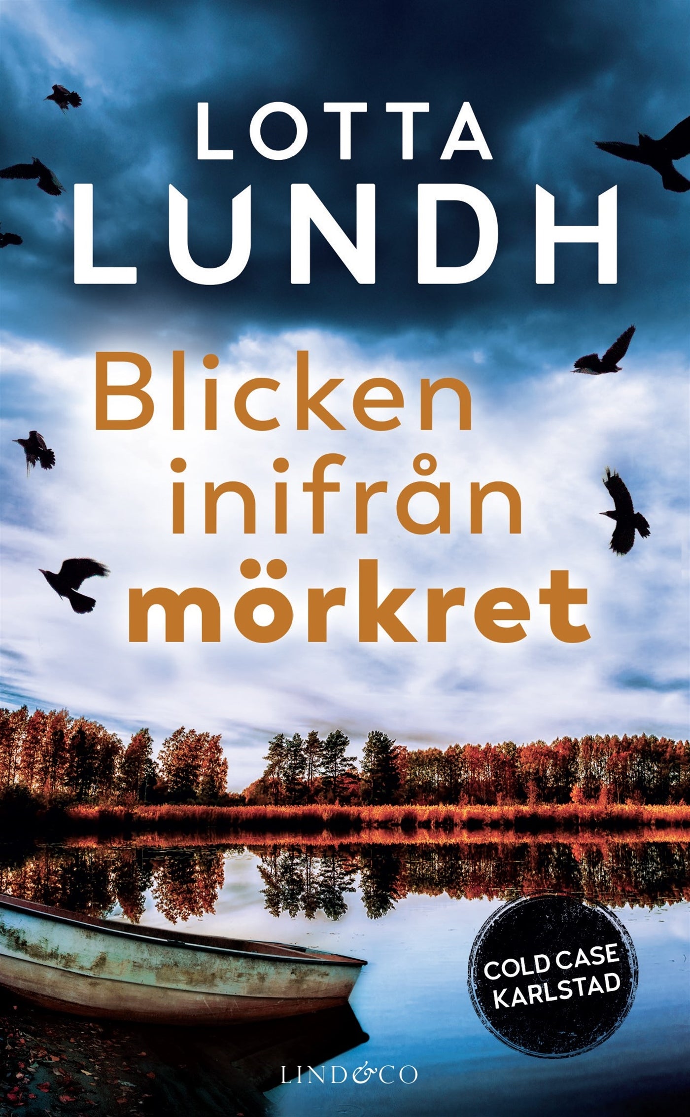 Blicken inifrån mörkret – E-bok