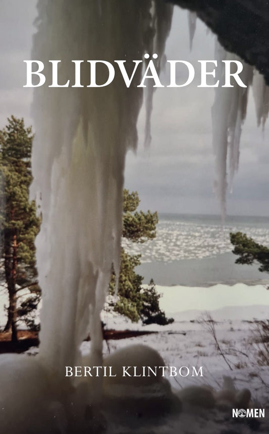 Blidväder – E-bok