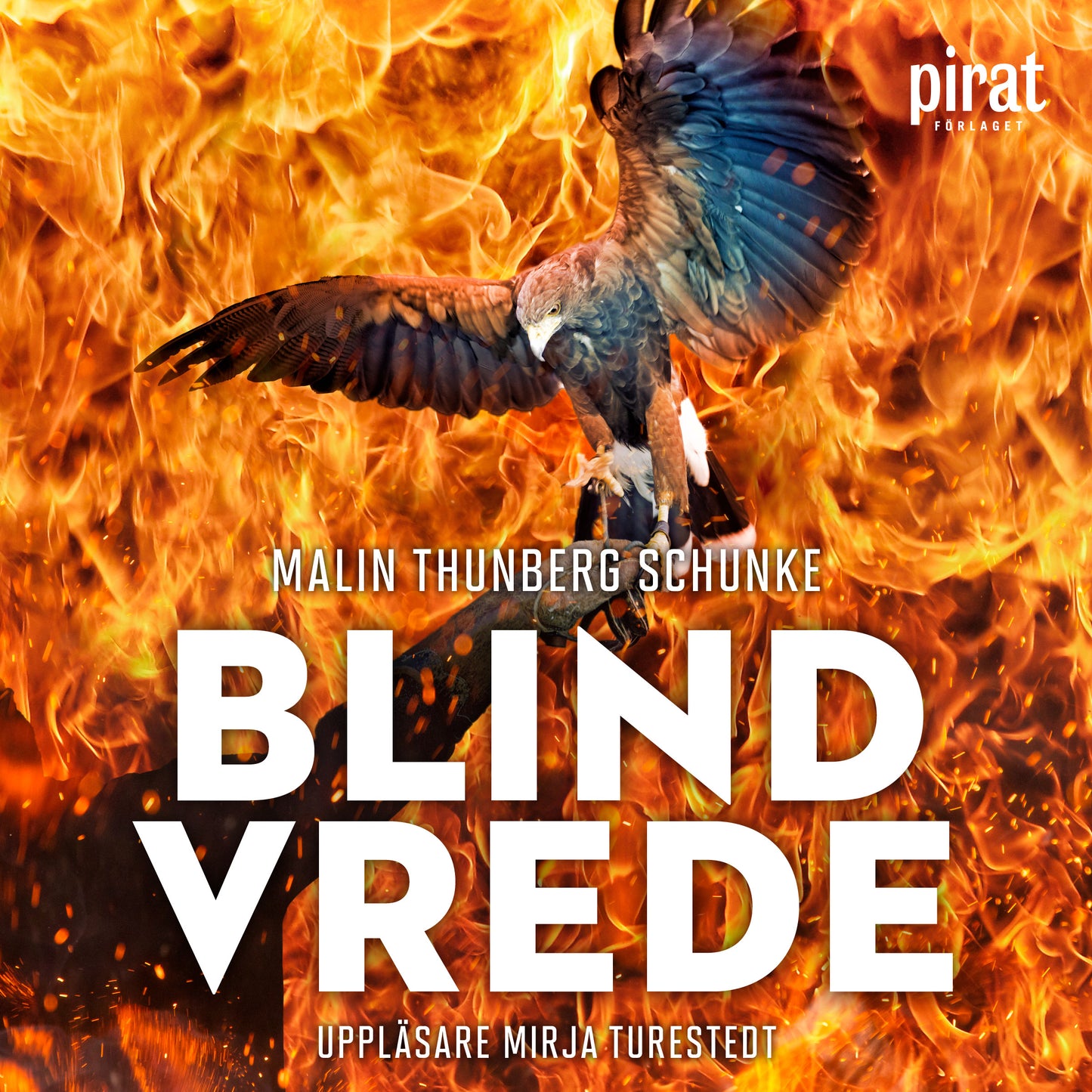 Blind vrede – Ljudbok