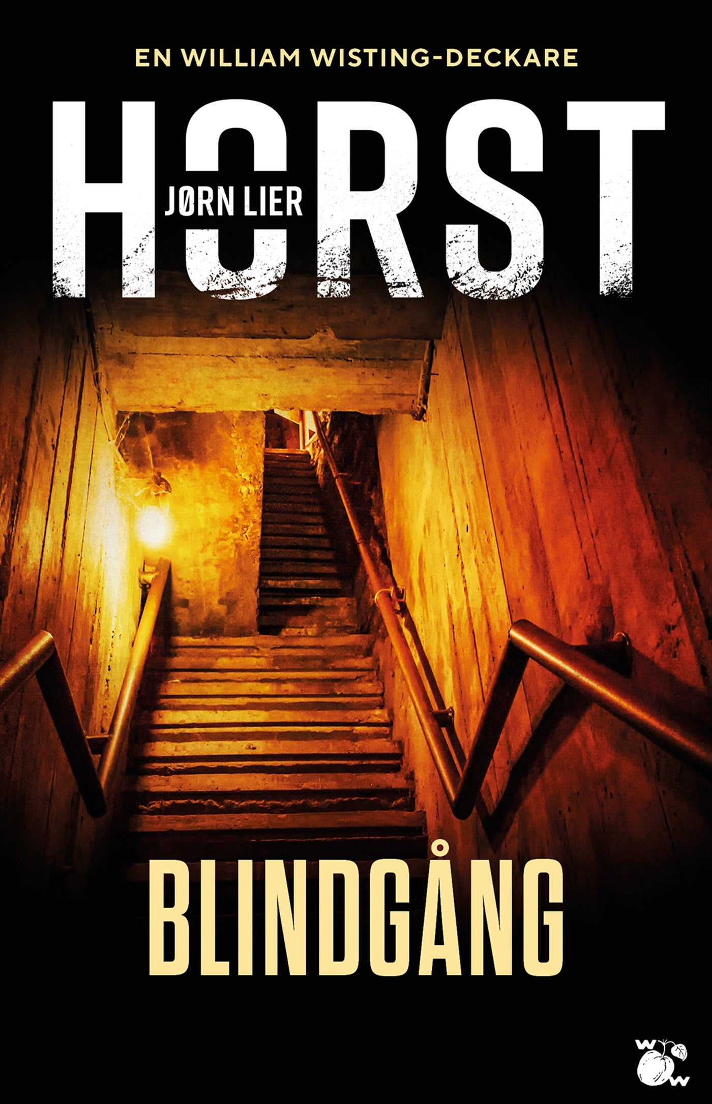 Blindgång – E-bok