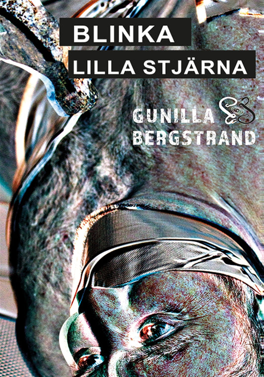 Blinka Lilla Stjärna – E-bok