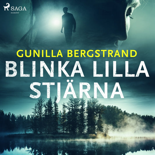 Blinka lilla stjärna – Ljudbok