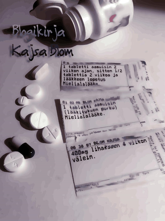 Blogikirja: kitujainen – E-bok