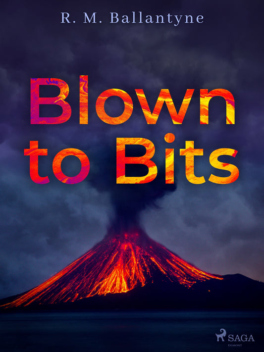 Blown to Bits – E-bok