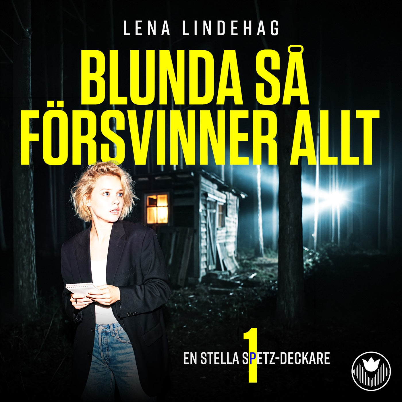Blunda så försvinner allt – Ljudbok