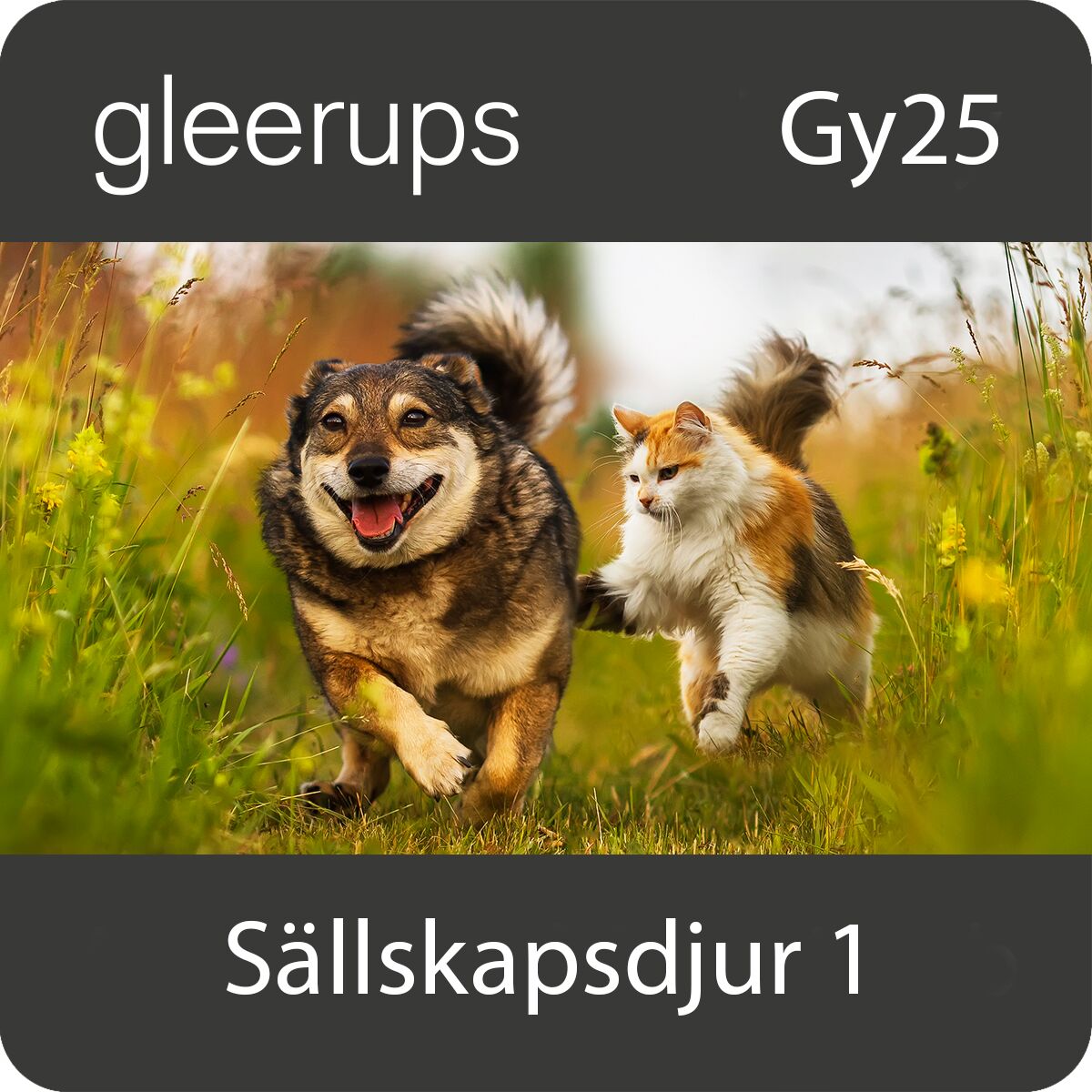 BokGym Sällskapsdjur 1, digitalt, lärare, 12 mån, Gy25 (OBS! Endast för lärare)