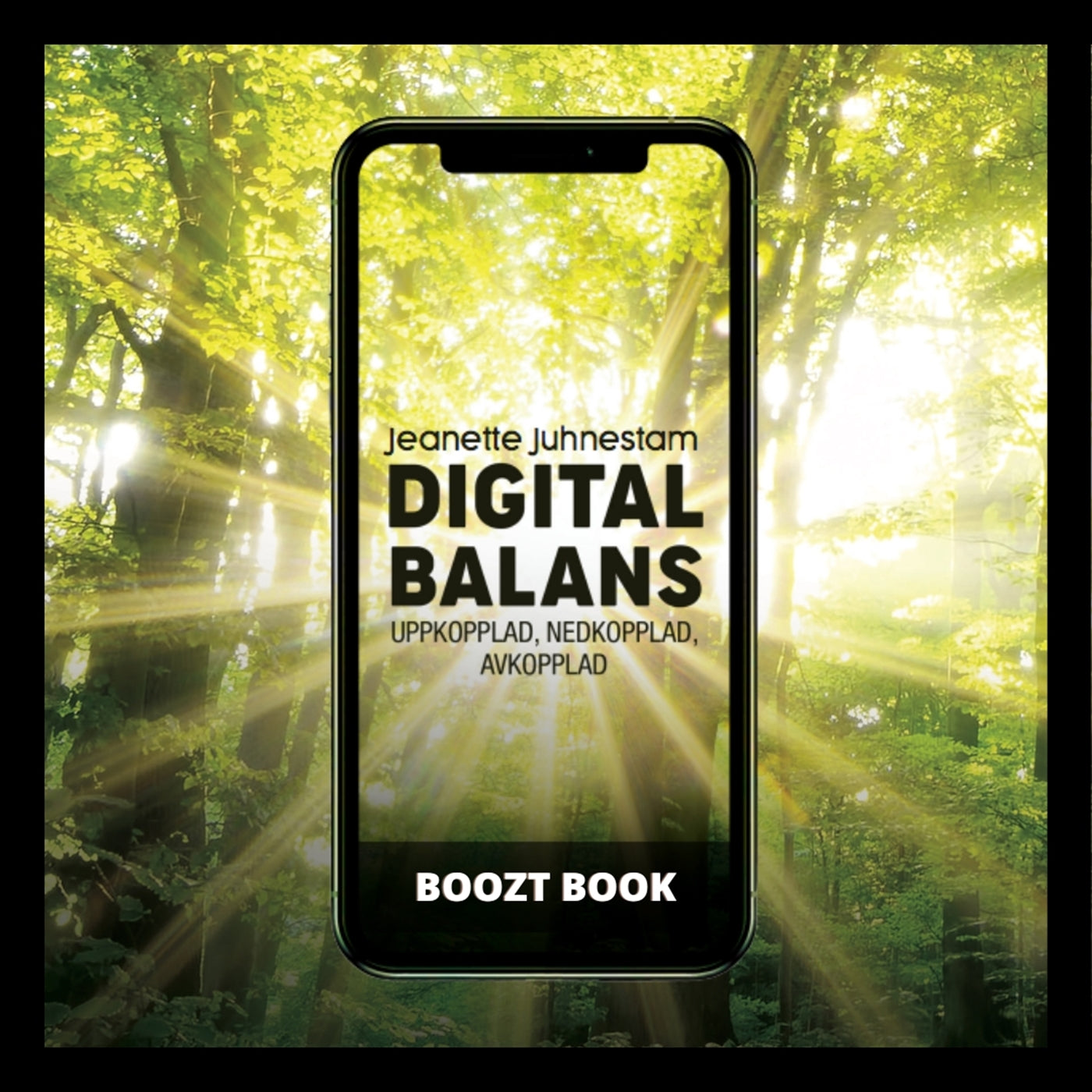 BooztBook Digital balans: Uppkopplad,nedkopplad, avkopplad – Ljudbok