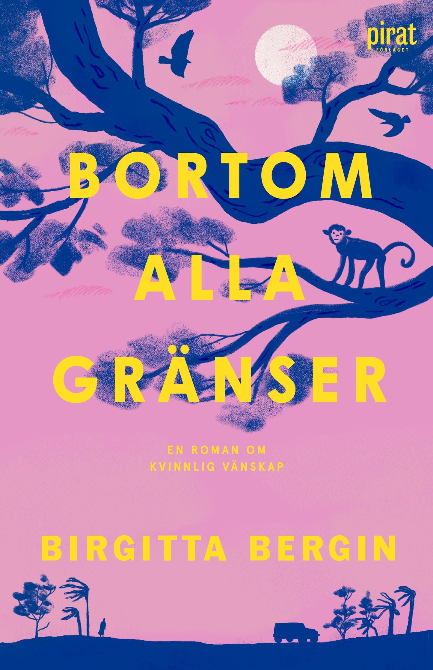 Bortom alla gränser – E-bok