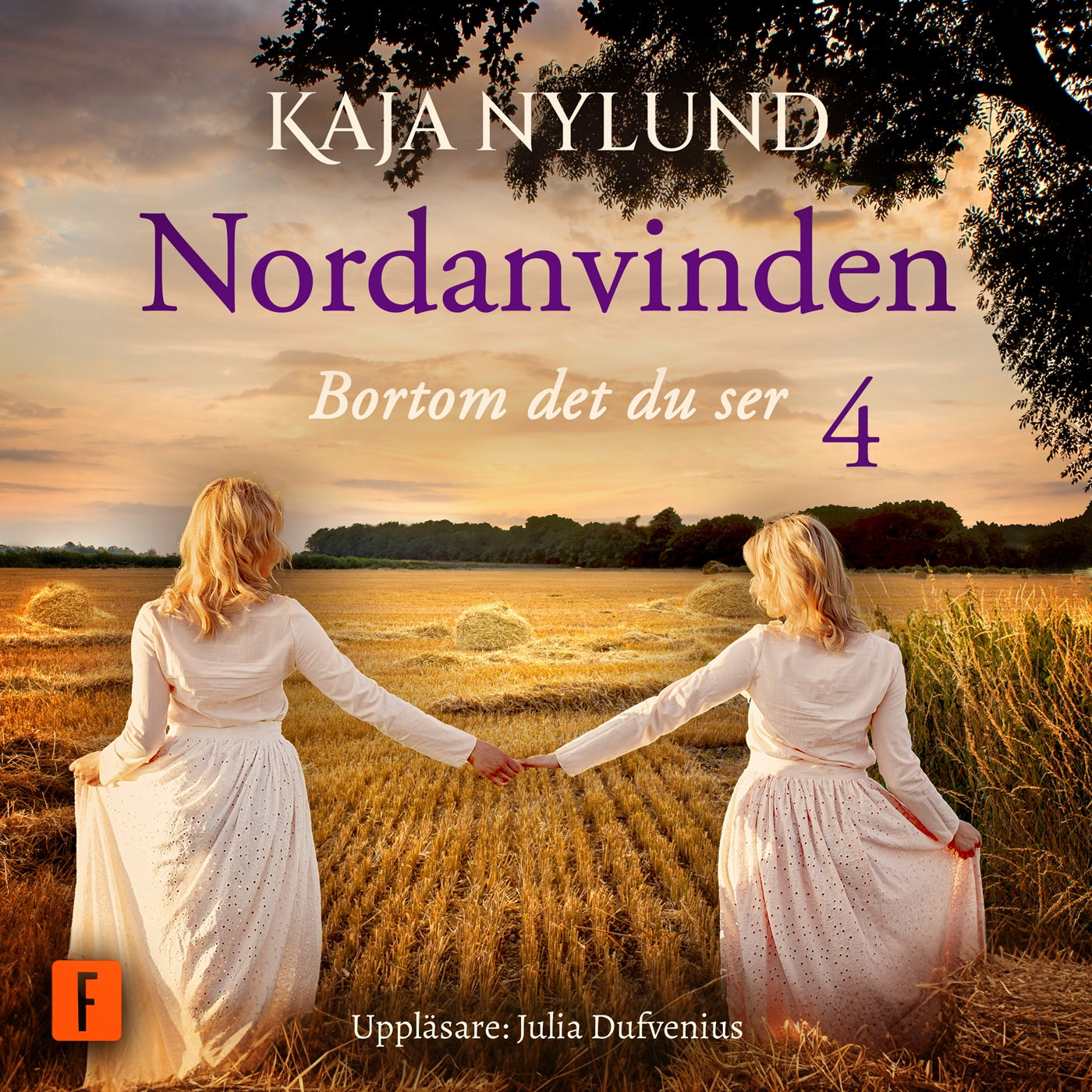 Bortom det du ser – Ljudbok