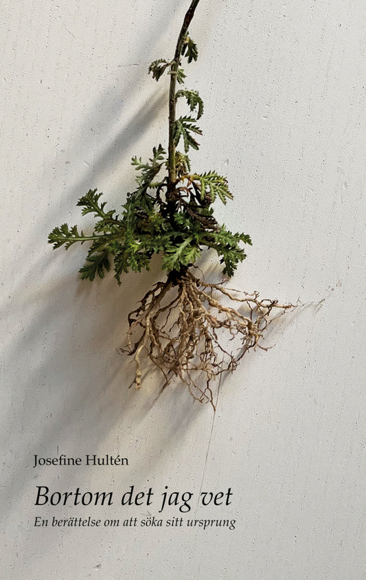 Bortom det jag vet: En berättelse om att söka sitt ursprung – E-bok