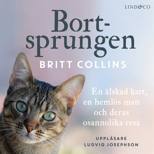 Bortsprungen : en älskad katt, en hemlös man och deras osannolika resa – Ljudbok